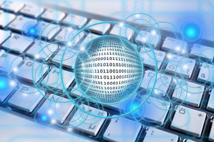 华体会官网注册-篮球专项技能教学创新实践及效果评估，篮球教学实施报告 教学能力比赛